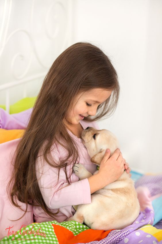 labradores-e-bebes-10