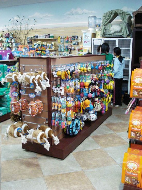 motivos-para-nao-ter-um-labrador-4