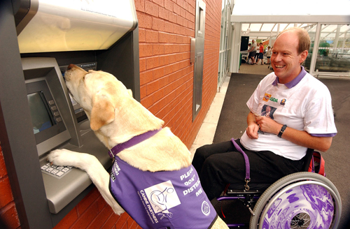 vezes-em-que-um-Labrador-te-surpreendeu-6