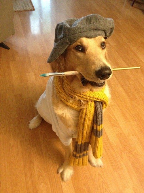 fantasia-labrador-10