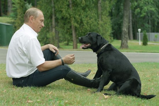 criando-labrador-famosos-Vladimir-Putin