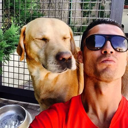 criando-labrador-famosos-cr7
