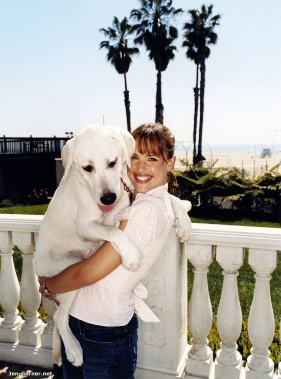 criando-labrador-famosos-jennifer